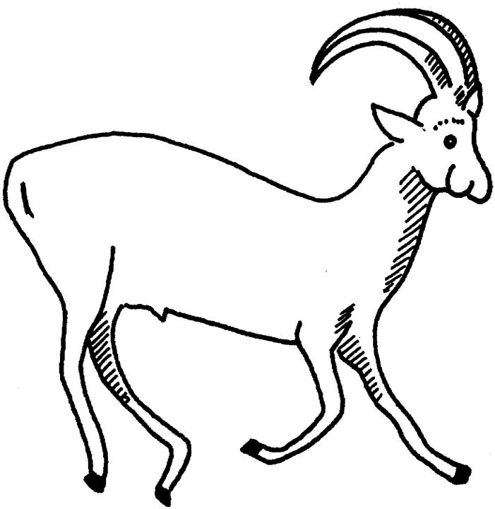 Antylopa, gazela, gnu kolorowanki